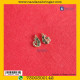 MayuraKrit Kundal - Silver (Panna)
