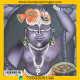 MayuraKrit Kundal - Silver (Panna)