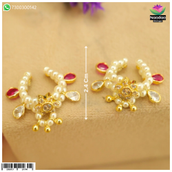 Janmashtami Special Premium Nupur Janmashtami Special Premium Nupur