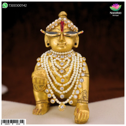 Hasli Haar Heera - (Silver) Hasli Haar Heera - (Silver)