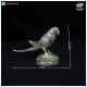 Parrot Fine Silver - One Pair