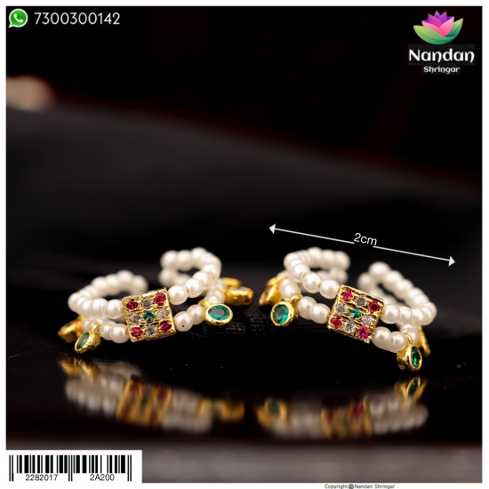 Nupur - Multi (Silver)