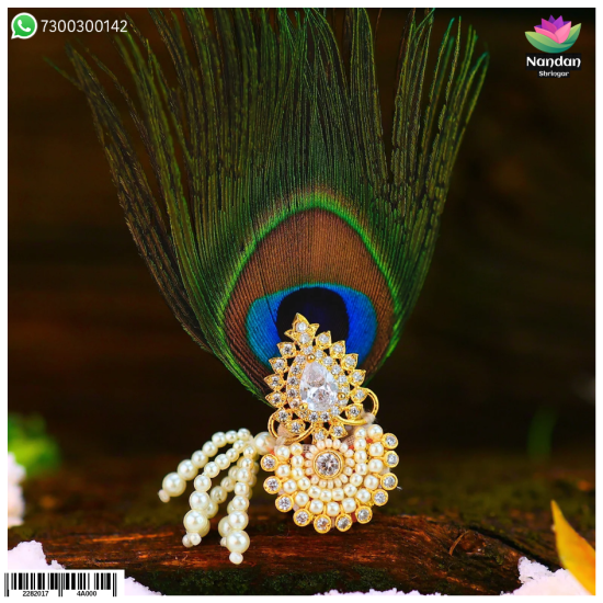 Paag sang Chandrika - Heera