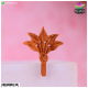 Chandan Mor Shikha - Size 1 For 0 To 1 No. Swaroop