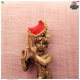 Cheent Paag With precious Loom (6pc)