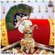 Diwali / Annkoot , Navratan Ko Shringar - Without Choti Ji