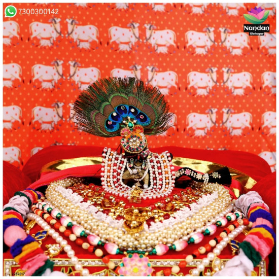 Choti Ji - Milma (Silver)