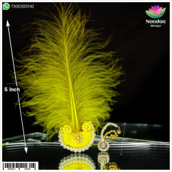 Surkhab With Shishfool