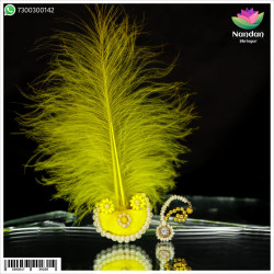 Surkhab With Shishfool