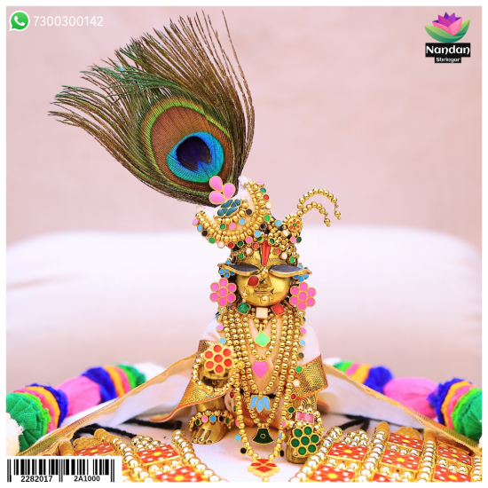 Meenakari Satrangi Holi Shringar 