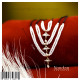 Jadaau single lad mala ( Heera ) Jadaau single lad mala ( Heera )