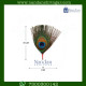 1 Mor Pankh Ki Jod - Single Side